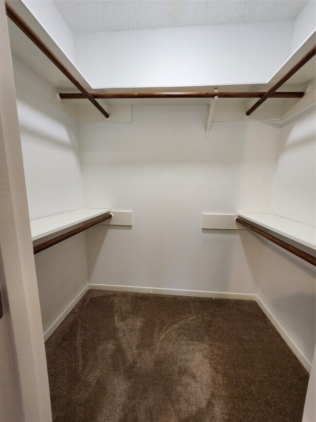 Building Photo - 10607 Horseshoe Bend Dr