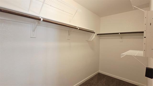 Building Photo - 824 Rivers Creek Ln