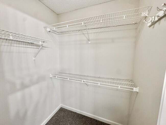 Building Photo - 8569 Kings Cross Cove