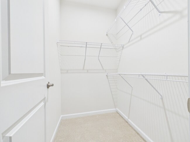 Building Photo - 2108 Trout Lily Ln