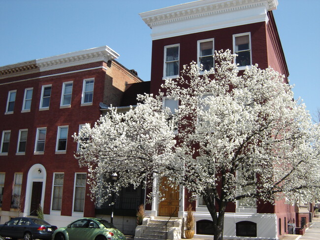 Building Photo - Renovated Two Bedroom in historic building