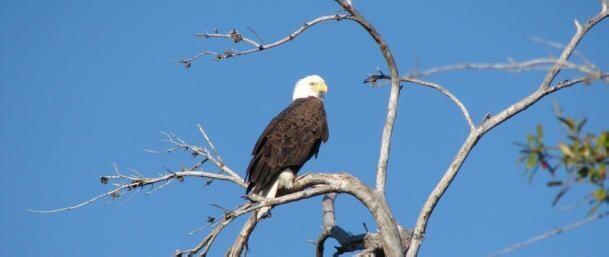 Building Photo - 156 SW Peacock Blvd