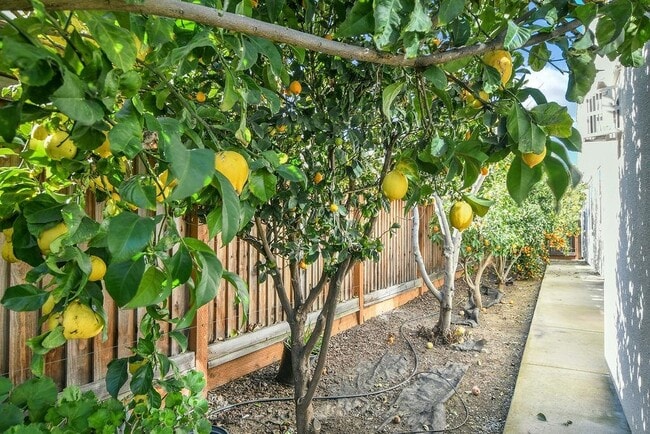 Building Photo - 1045 Martinez Dr