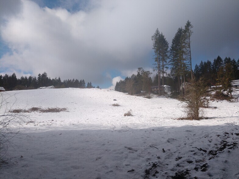 Perfect for sledding in the winter - 11839 Glenwood Rd