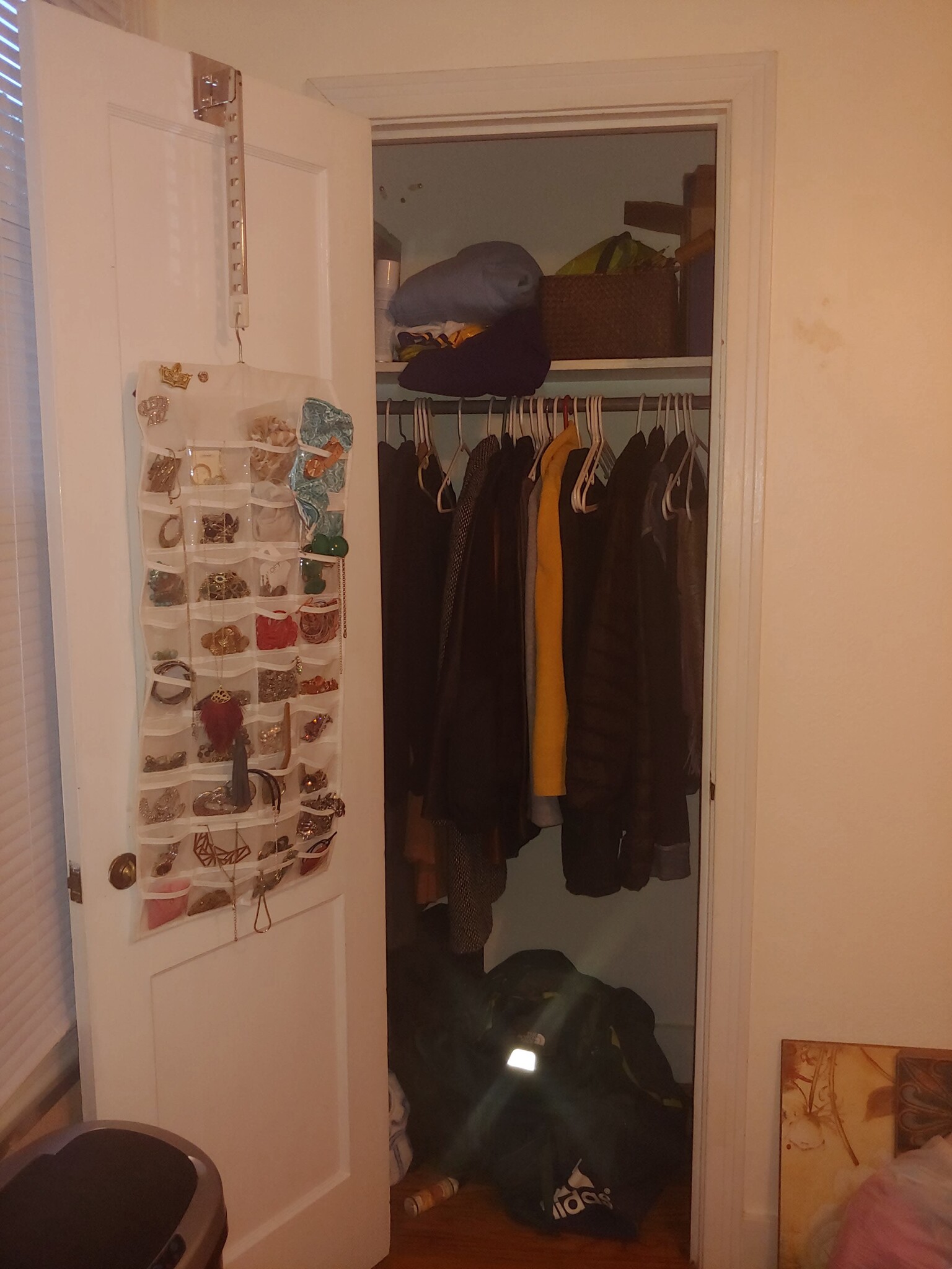 Bedroom closet - 1855 Edinburgh Ave