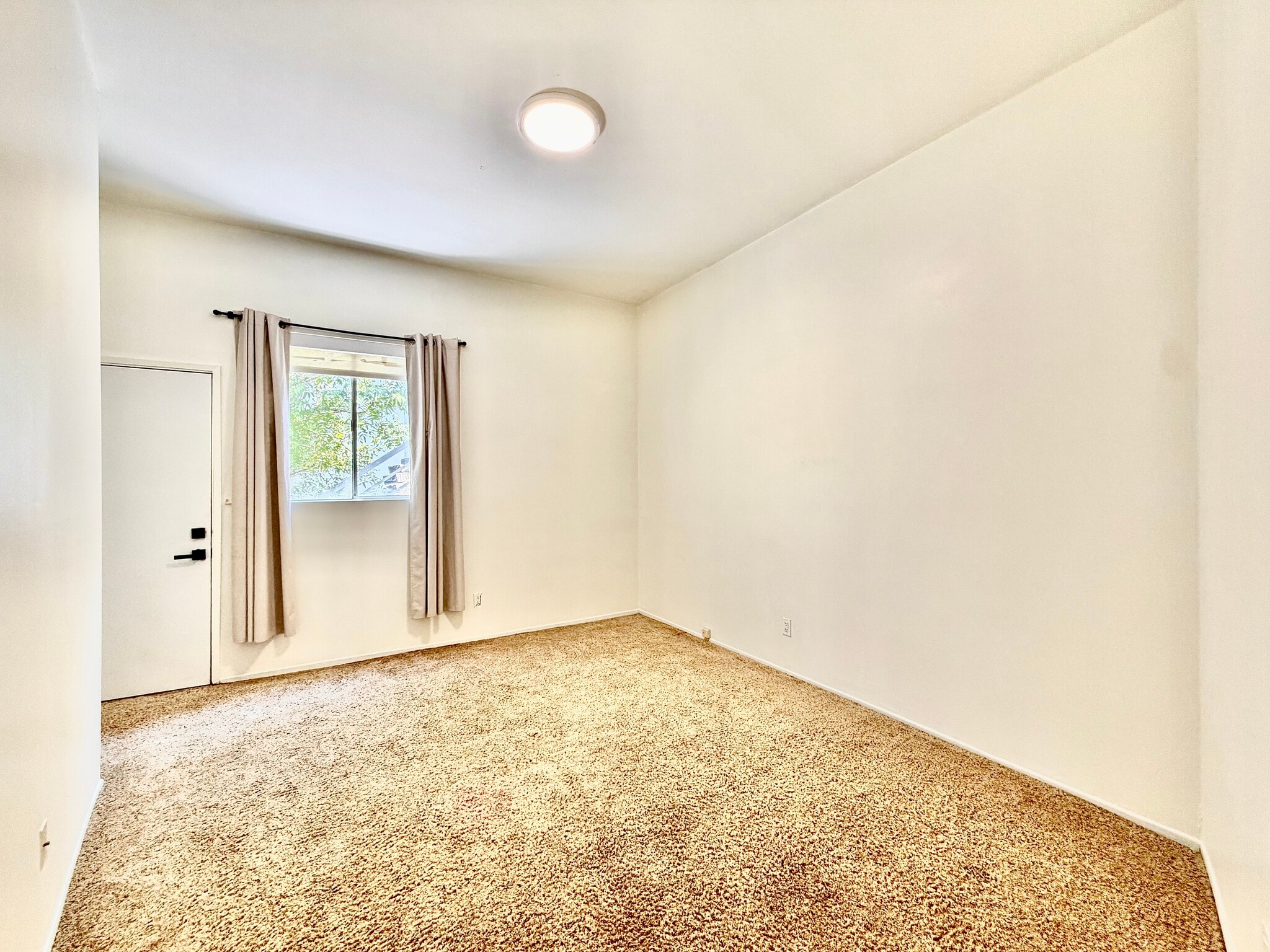 Building Photo - 3630 Avenida del Sol