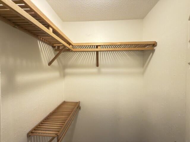 Building Photo - 303 Springwood Cir