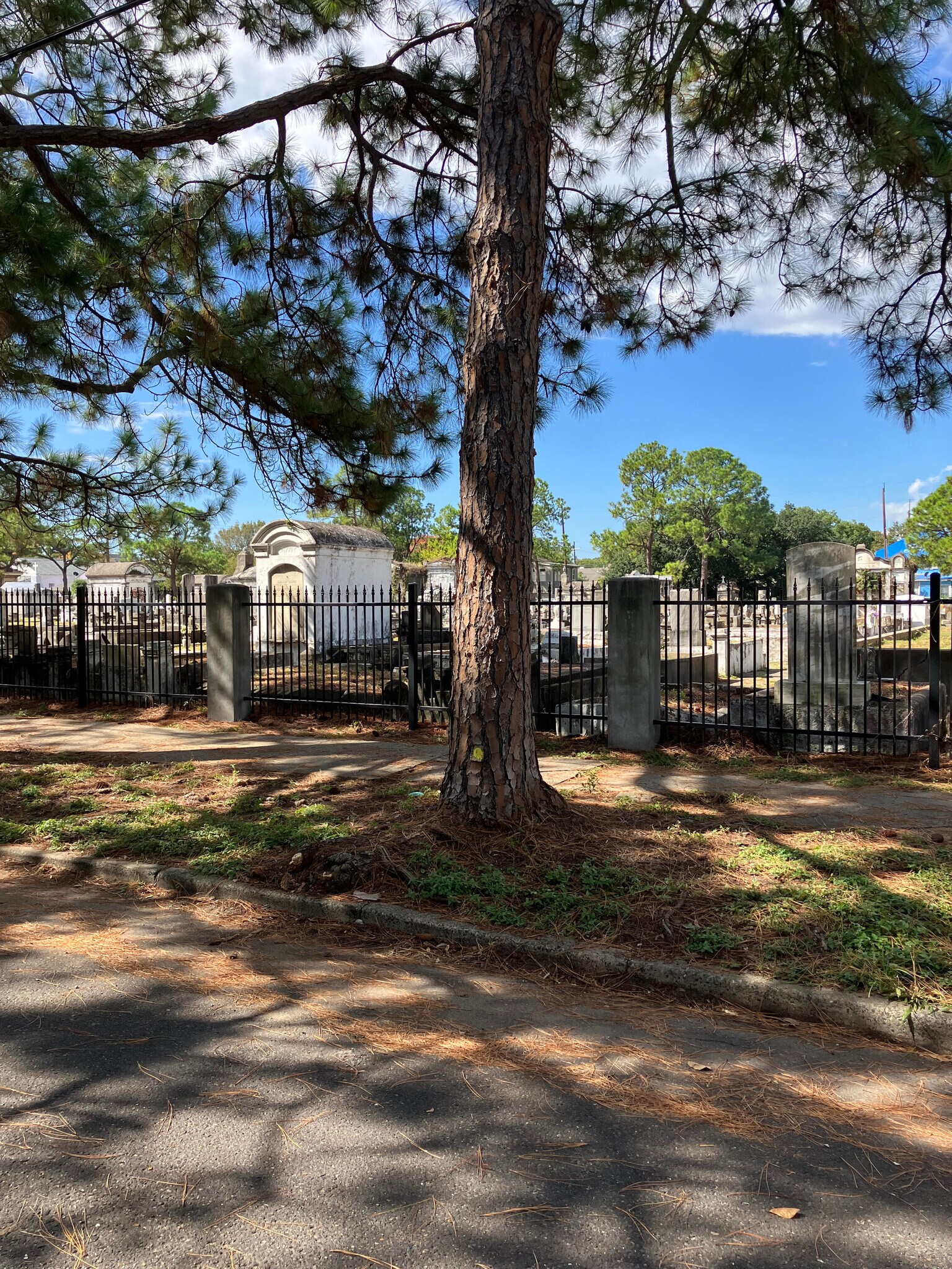 Quiet neighbors across the street allow for ample parking - 2039 Valence St
