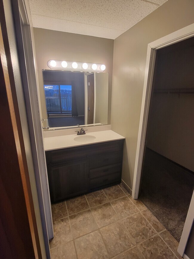 Updated vanity (2021) in owners ensuite bathroom - 3320 Louisiana Ave S