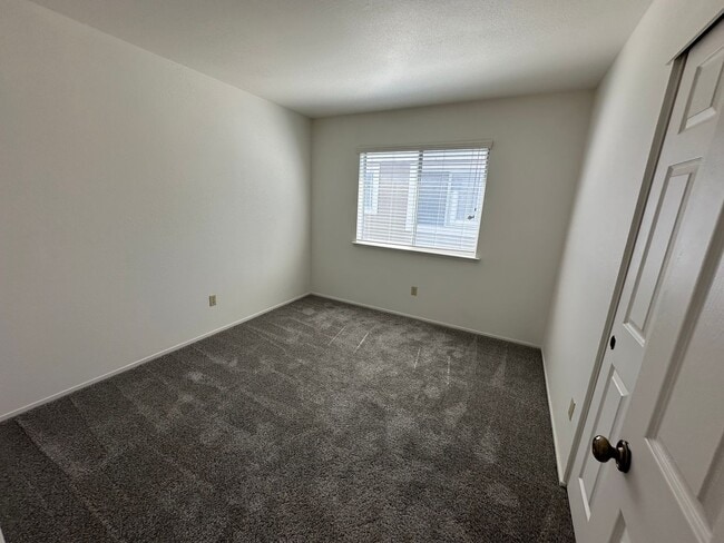 Building Photo - Beautiful 4 Bedroom, 2.5 Bath Tracy Home