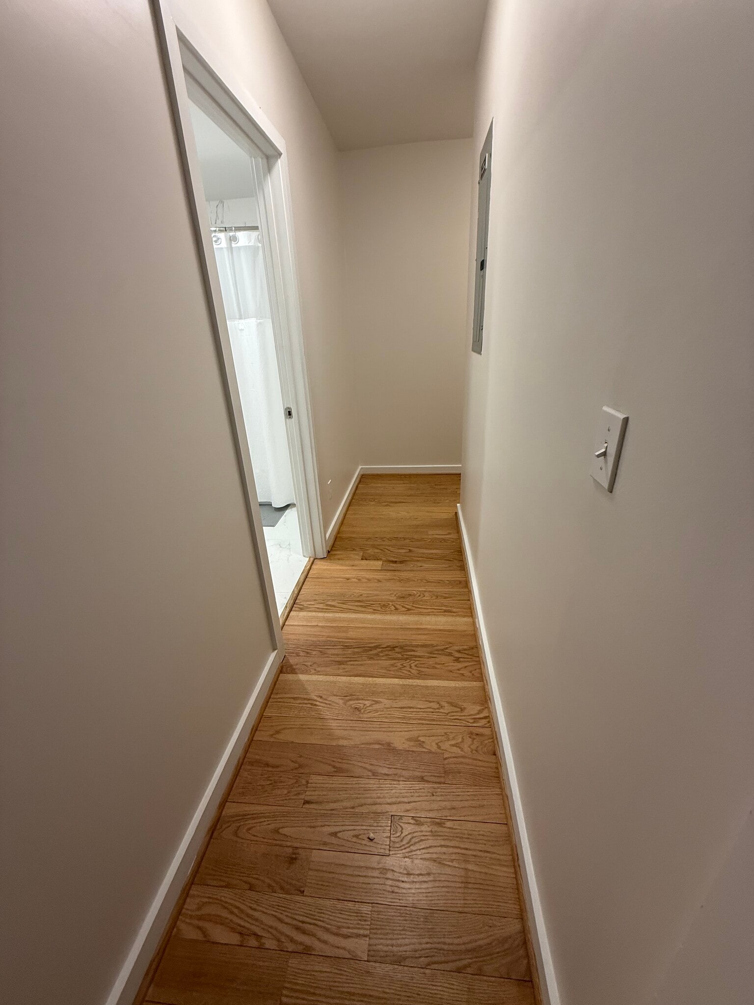 Hall from BR to Full Bathroom - 2009 Benning Rd NE