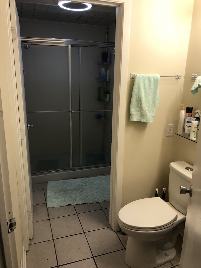downstairs bathroom - 18 N Bassett St