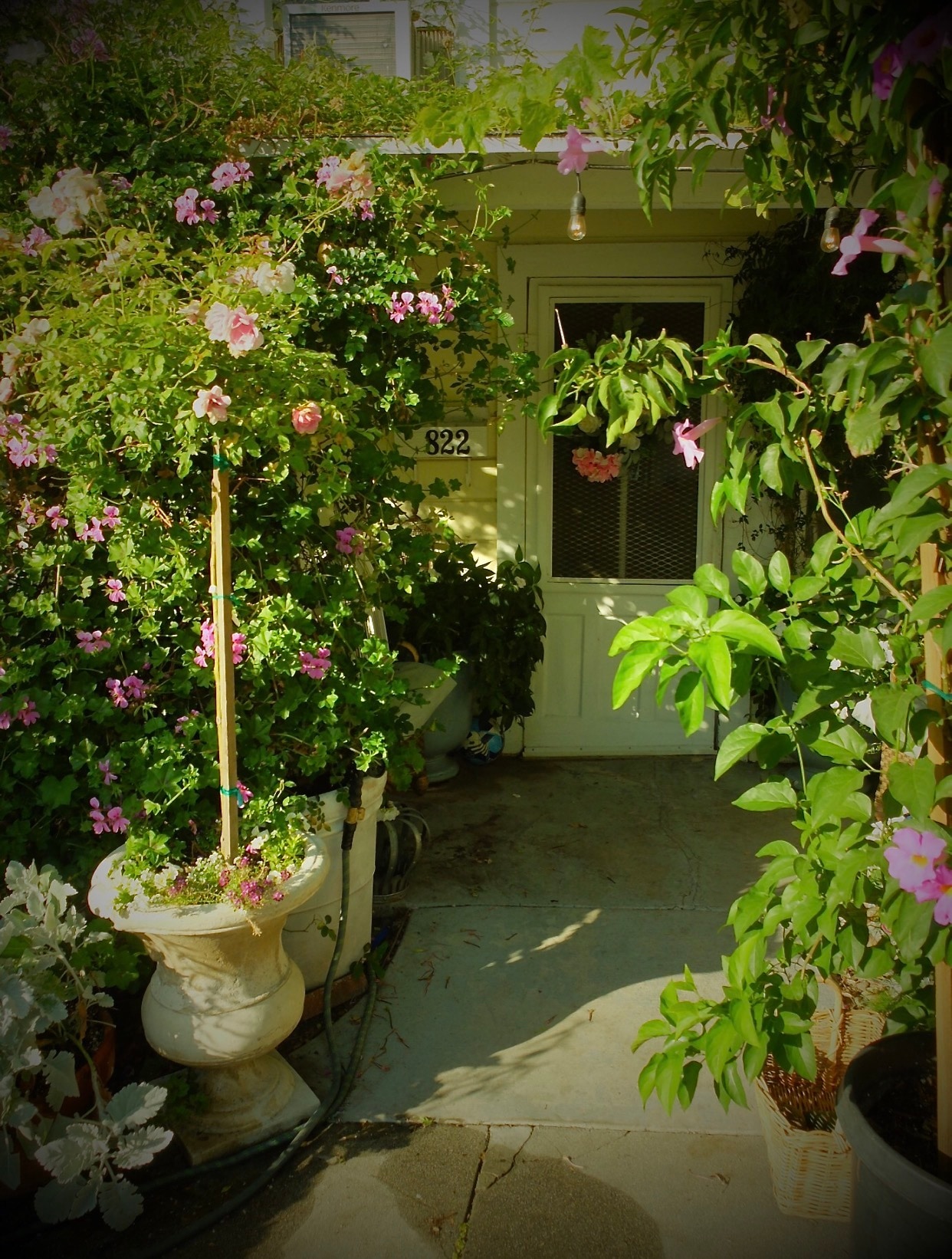 Approach to Porch & Front Door - 822 E Kensington Rd