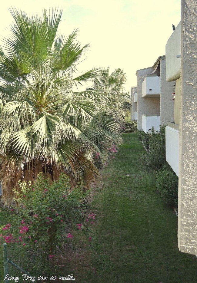 Building Photo - Indian Canyons Suite, Long term, UNFURNISHED,