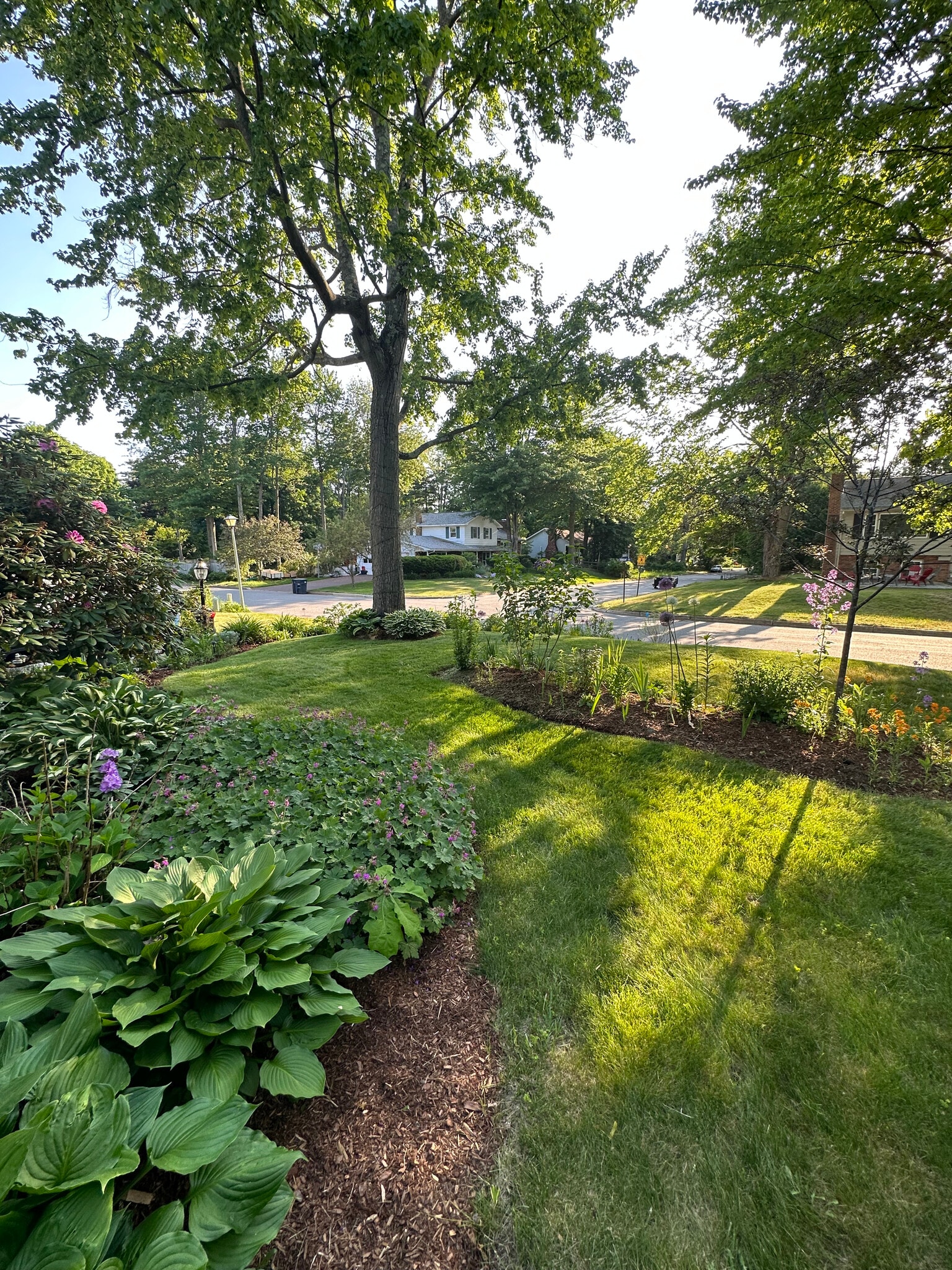 Front yard - 7 Yandow Dr