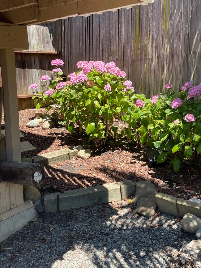 Building Photo - 1800 Centro West St