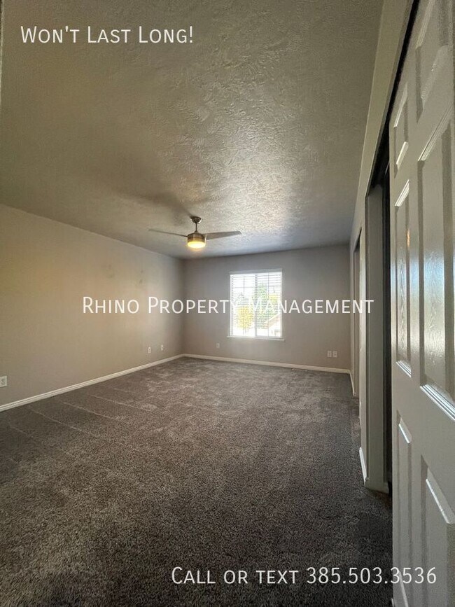 Building Photo - 2343 Adelaide Dr