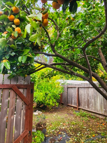 Building Photo - 1151 Viewpointe Blvd