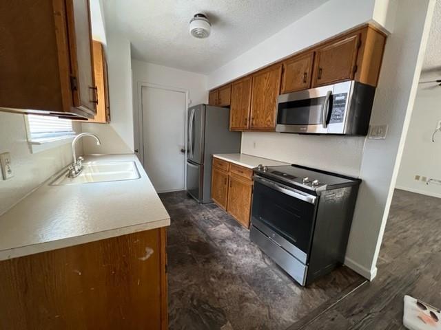 Building Photo - 1681 Chachalaca Ln