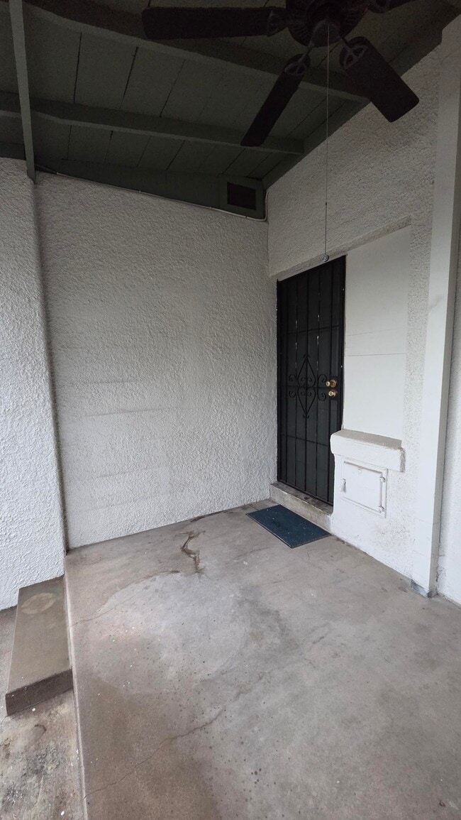 Back Patio - 819 N 5th Ave