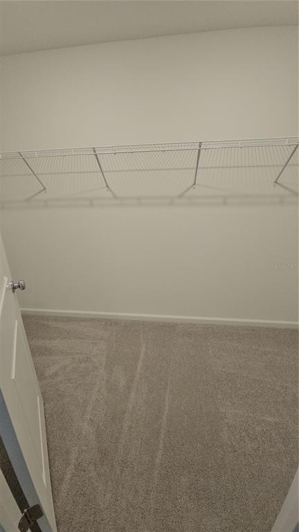 Building Photo - 3383 Alexander Dr