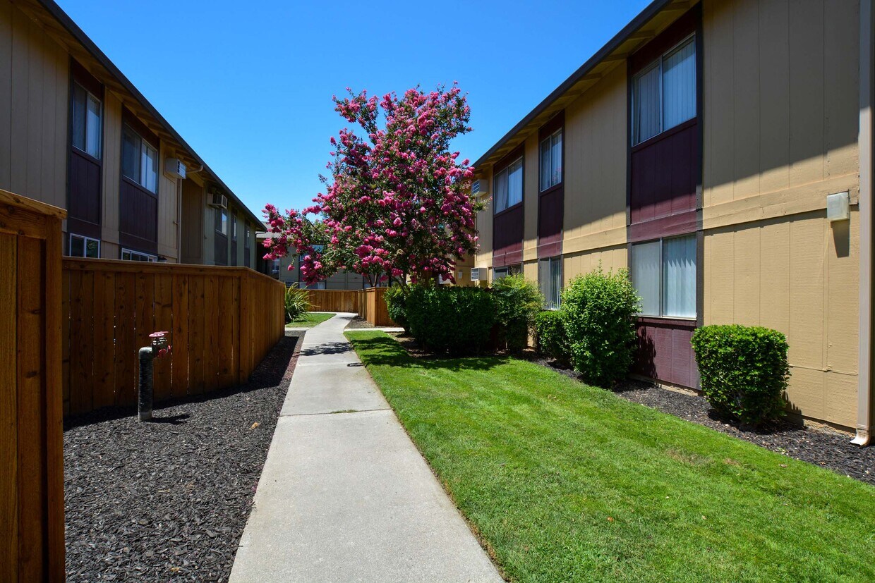 Driftwood Apartments Tracy