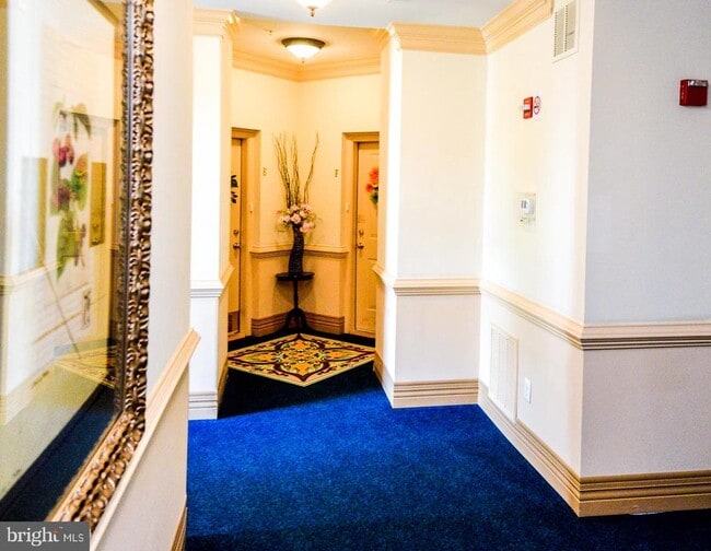 Building Photo - 2007 Connor Ct