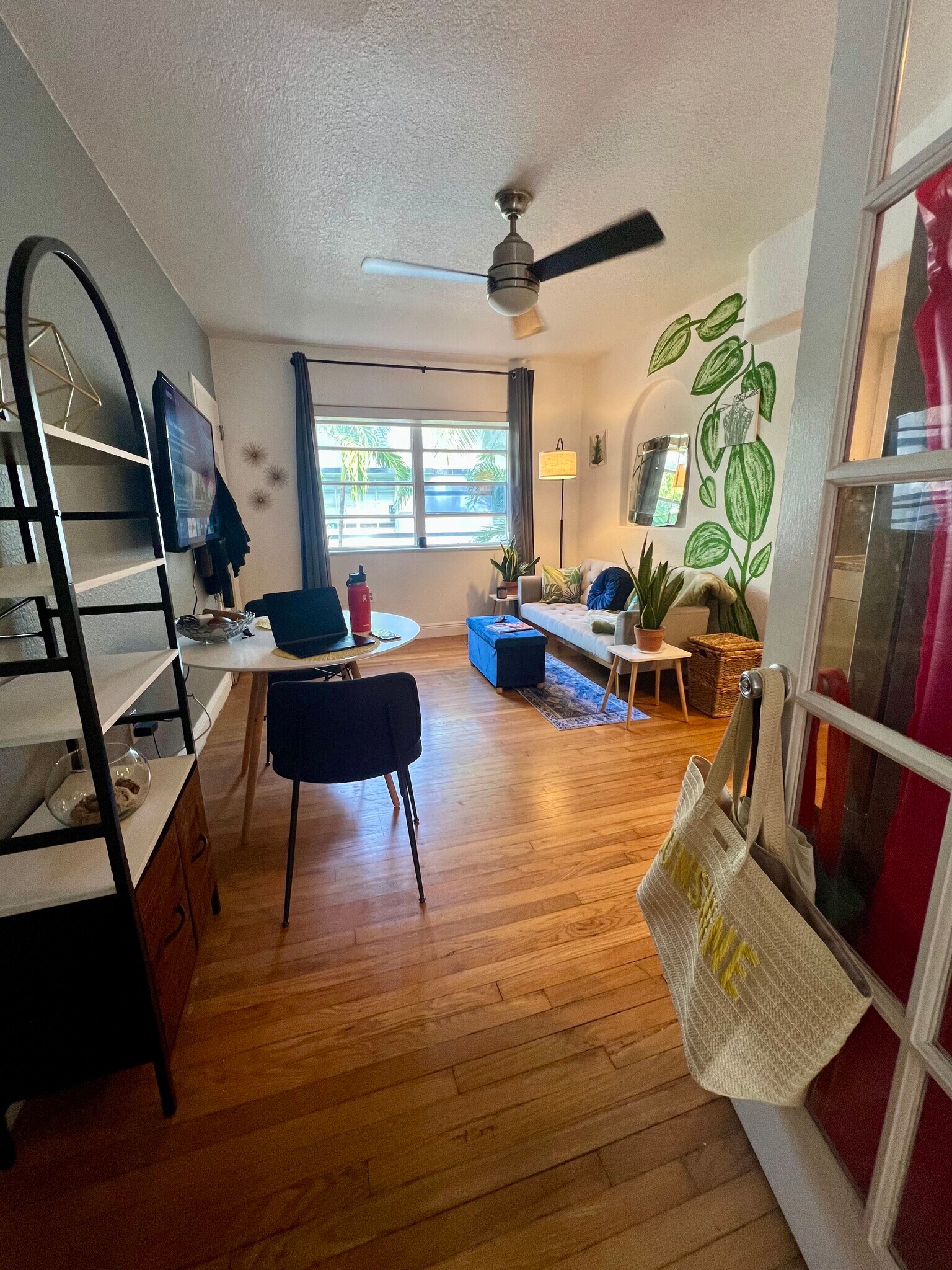 View of living area and kitchen from bedroom stoop - 901 Euclid Ave