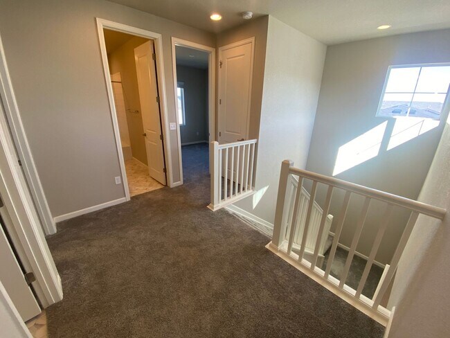 Building Photo - Fantastic Paired Home in Castle Rock