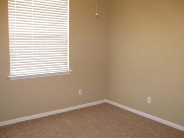 Building Photo - 1402 Chandler Cove
