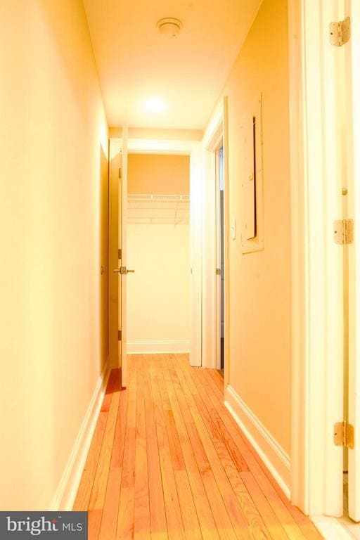 Building Photo - 1100 Spruce St