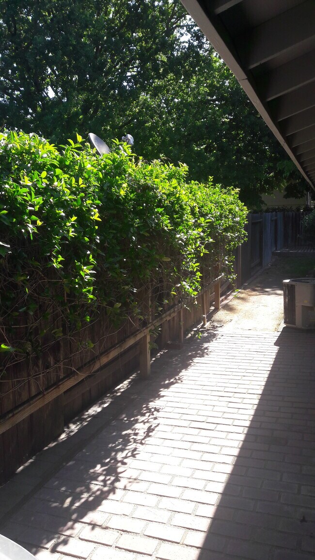 Building Photo - 3030 Olive Glen Ct