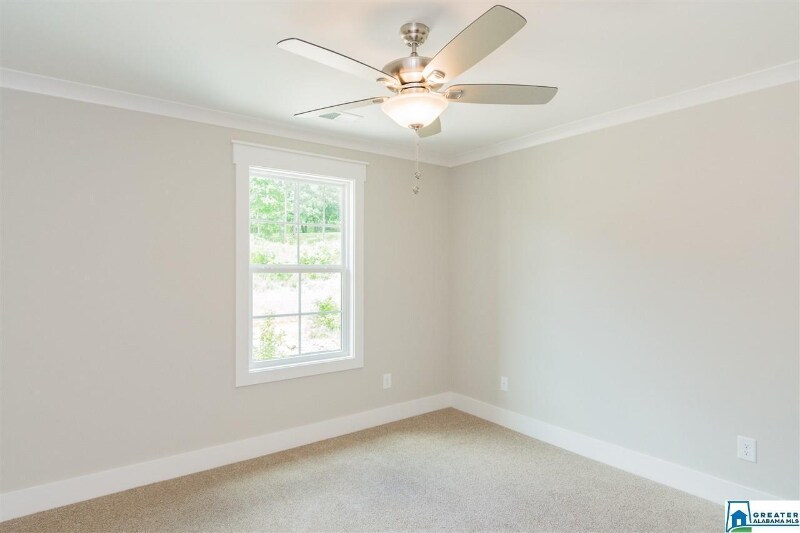 Building Photo - 415 Sunbelt Dr