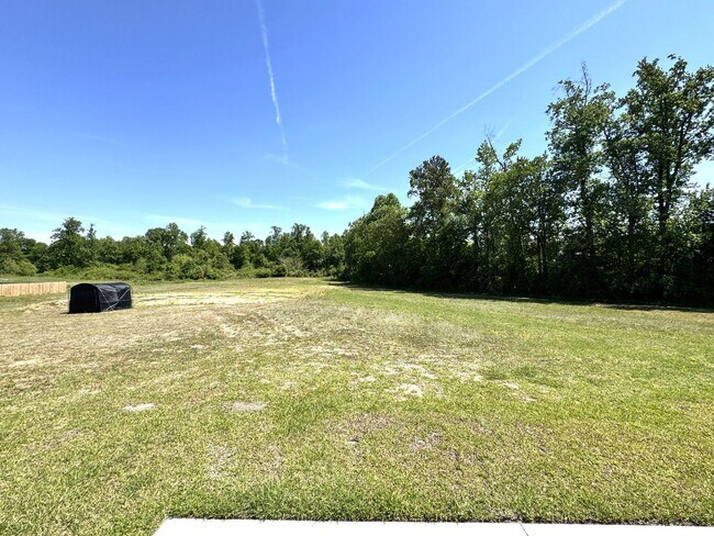 Building Photo - 514 Isaac Br Dr