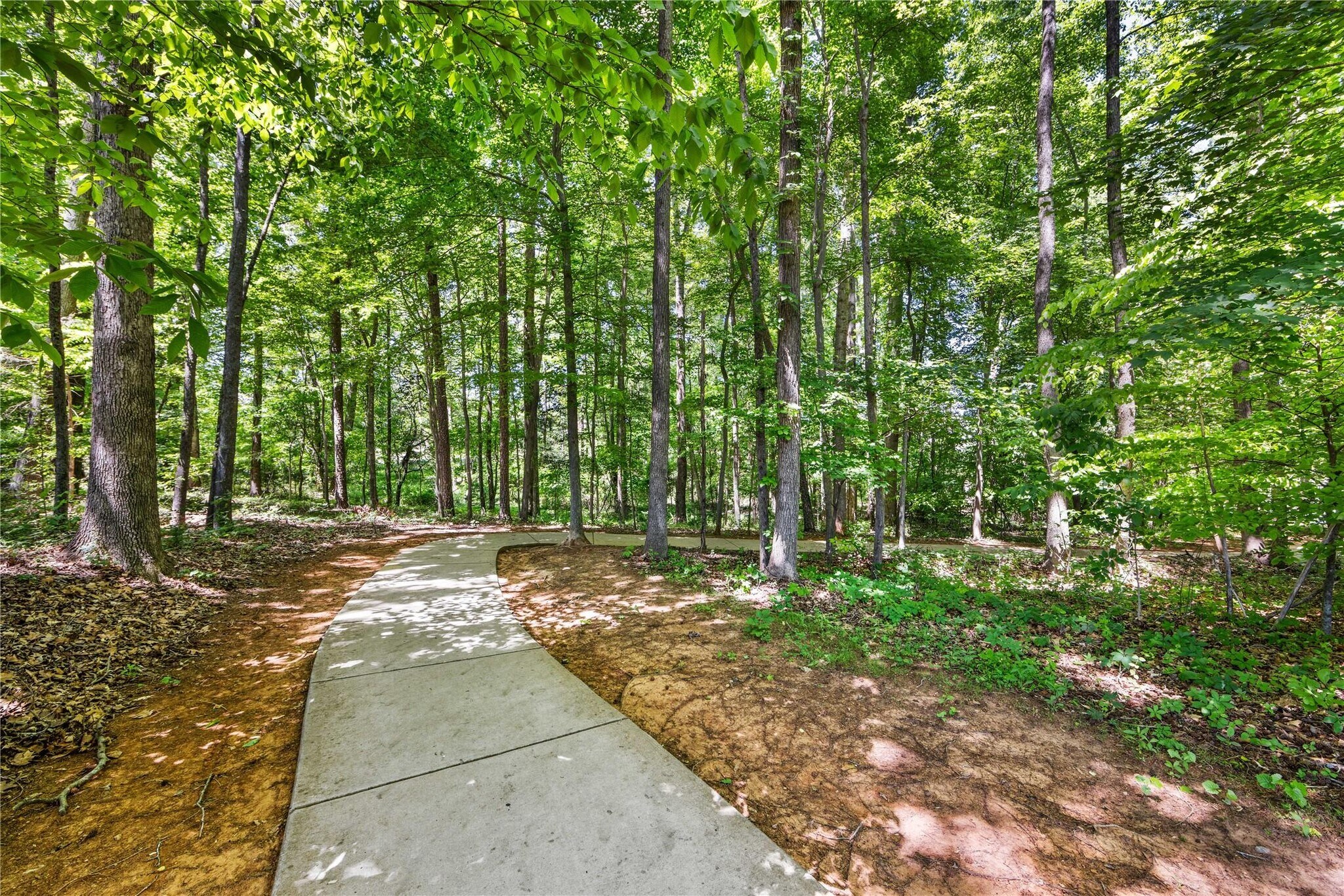 Building Photo - 10716 Meg Meadow Dr