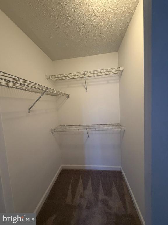 Building Photo - 1401 Sage Ln