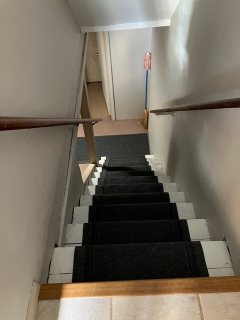 Stairs to Basement - 26 Kingston St