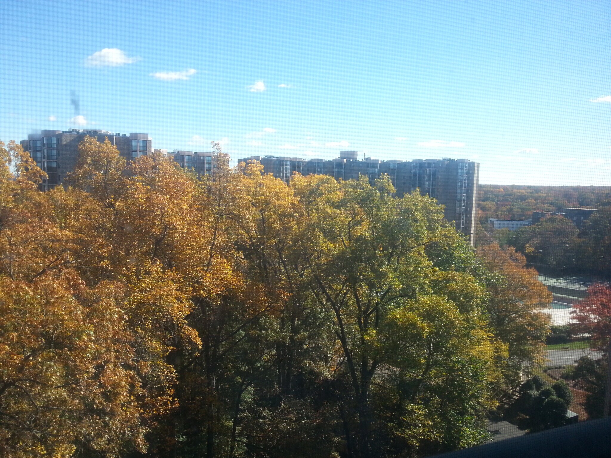 View from portch - 5901 Mt Eagle Dr