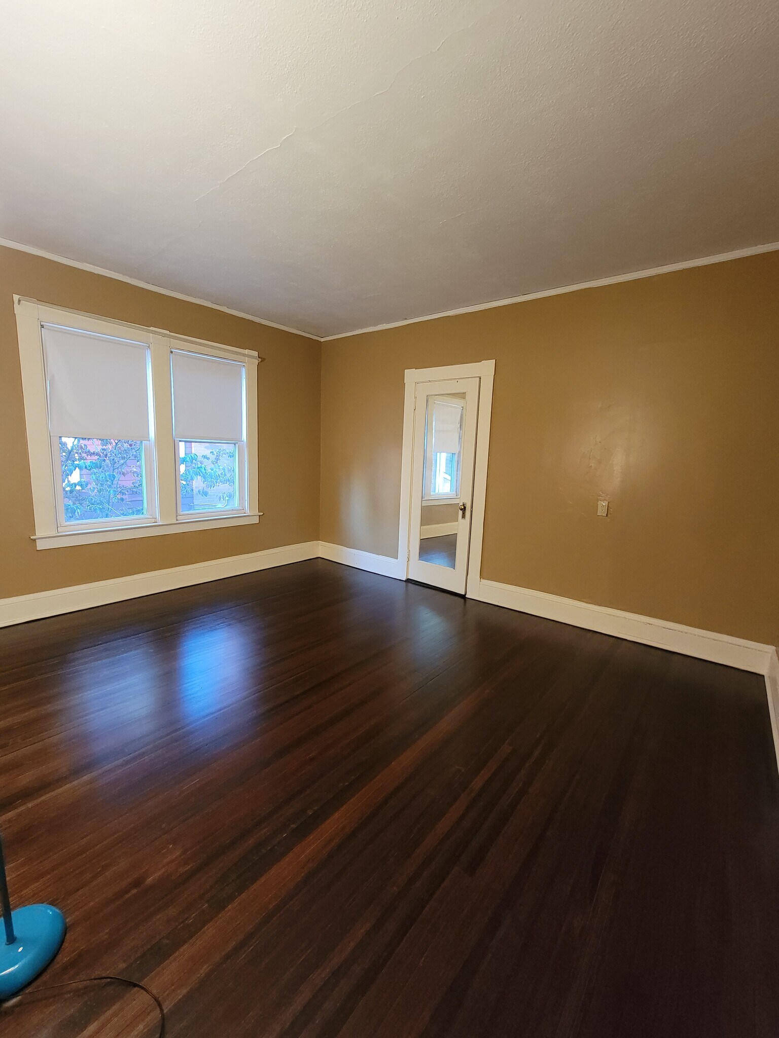 Bedroom 1 - 27 Walkley Rd