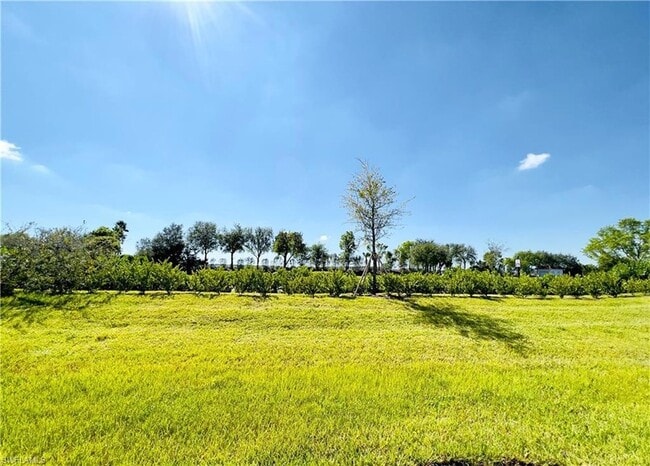 Building Photo - 14297 Oviedo Pl