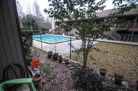 Building Photo - Large One Bedroom, One Bath Condo In Popular Evergreen Trace...Available August!