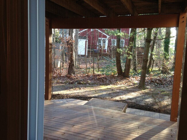 Looking out the basement to the deck and foliage - 11251 Silentwood Ln