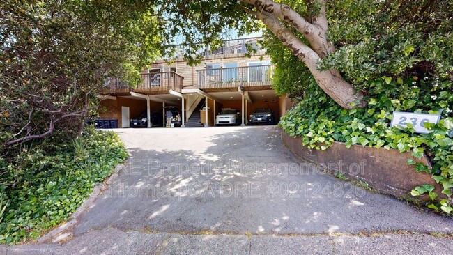 Building Photo - 236 San Carlos Ave