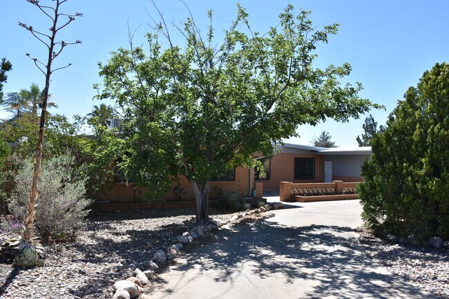 Building Photo - Great home in Great Neighborhood