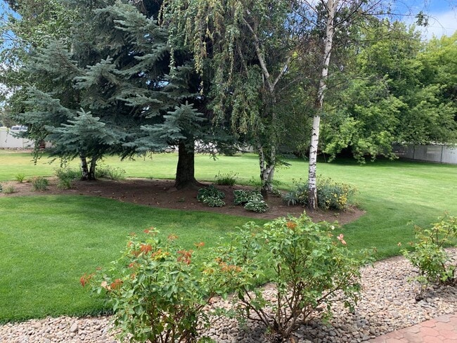 Building Photo - 4 Bedroom, 2 Bath near Pine Grove