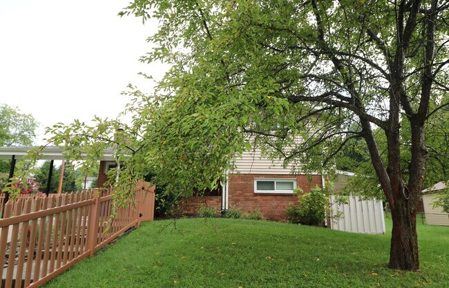 Building Photo - "Coming Soon". 4 bed + 2.5 Bath Stunning Split-Level in Kemp Mill