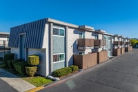 Building Photo - Oasis Del Sol