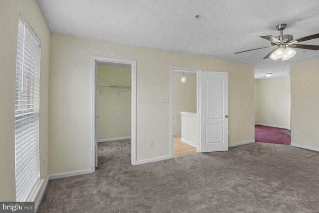Building Photo - 4000 Estevez Ct