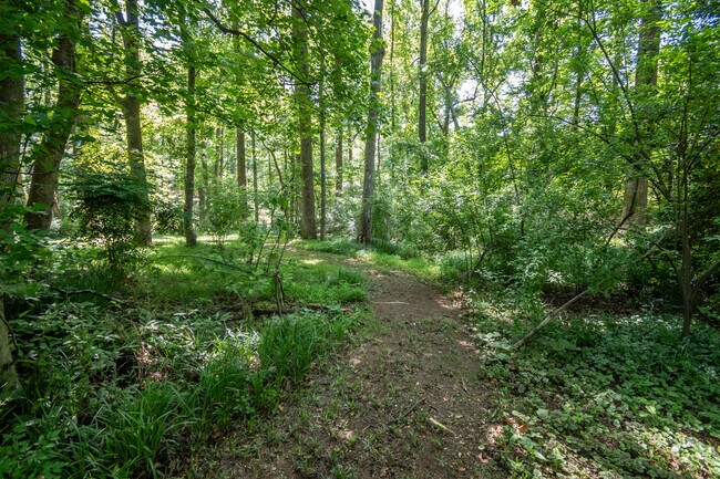 Building Photo - 1051 Crooked Creek Rd