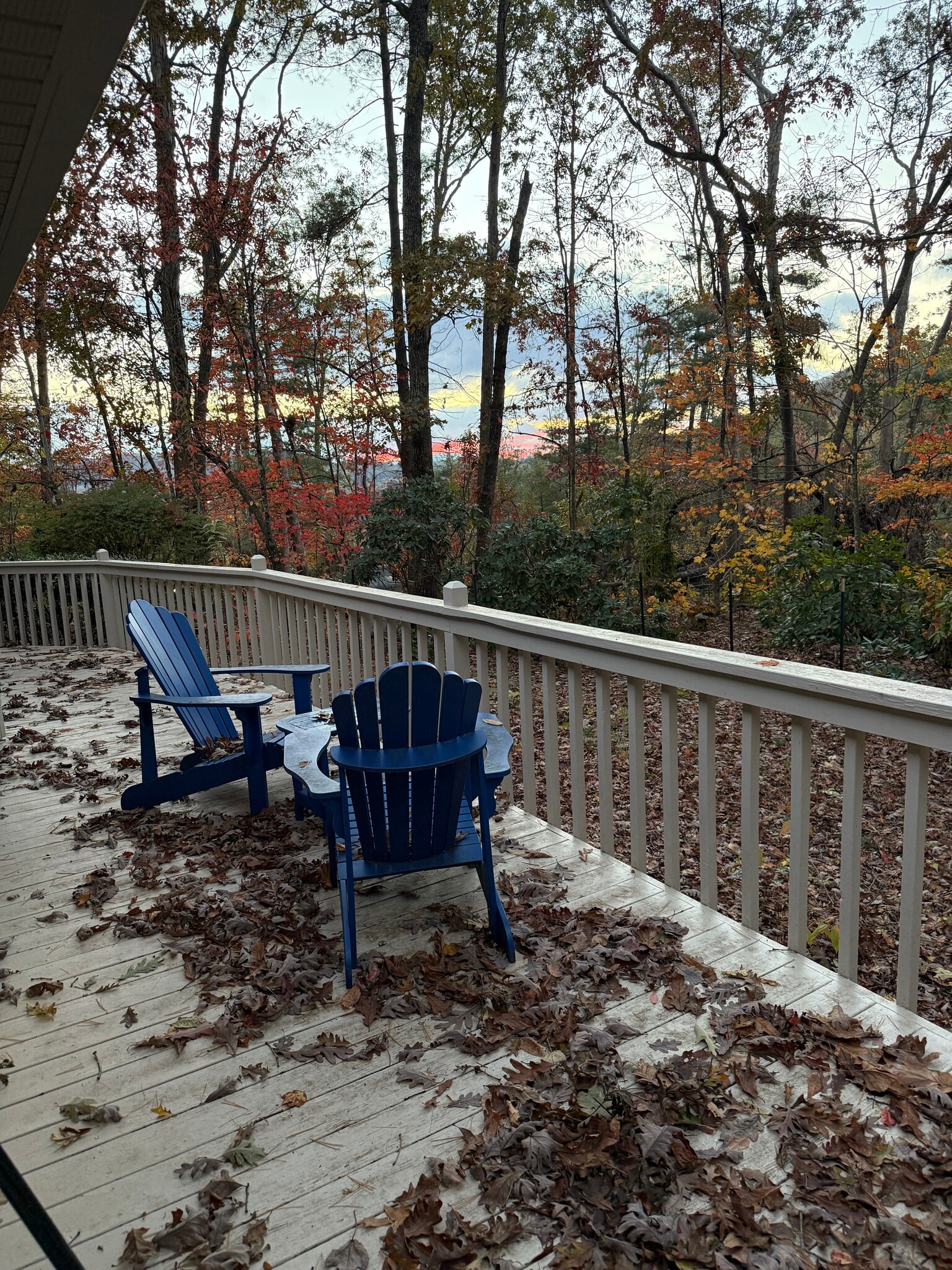 Open deck - 45 Pentland Hills Dr